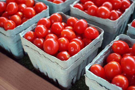 Free Cherry Tomatoes in Paper Cartons Stock Photography