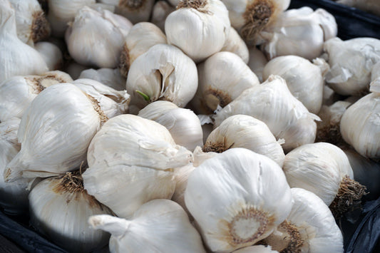 Free Close-Up of Fresh Garlic Bulbs Stock Photography
