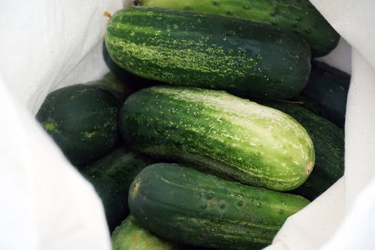 Free Cucumbers in White Market Bag Stock Photography