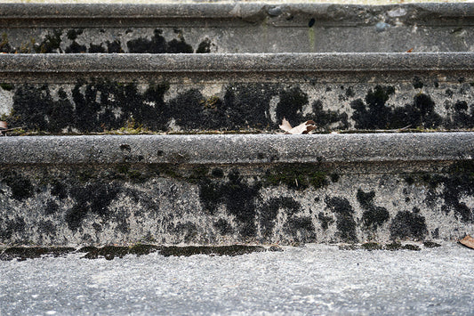 Free Concrete Steps with Moss Texture Stock Photography