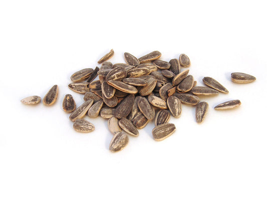 Free Pile of Sunflower Seeds Stock Photography