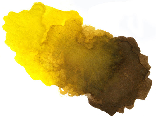 Free Warm Yellow to Brown Wash Stock Photography