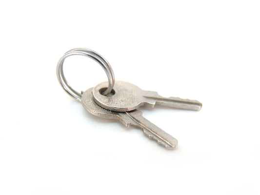 Free Two Silver Keys on a Ring Stock Photography