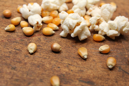 Free Popped and Unpopped Corn Kernels Stock Photography